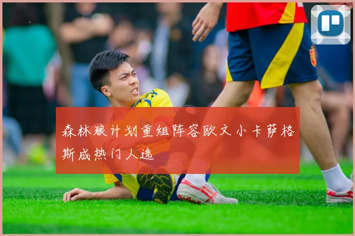 森林狼计划重组阵容欧文小卡萨格斯成热门人选