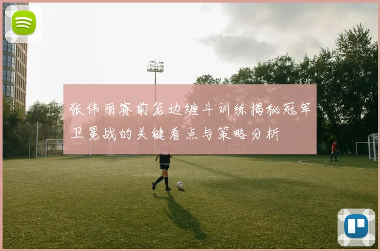 张伟丽赛前笼边缠斗训练揭秘冠军卫冕战的关键看点与策略分析