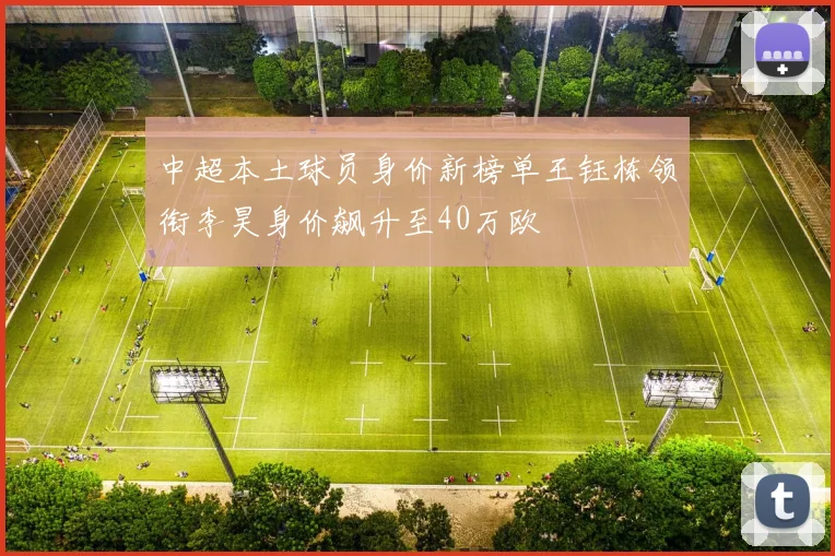 中超本土球员身价新榜单王钰栋领衔李昊身价飙升至40万欧