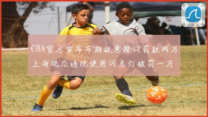 CBA官方宣布布朗故意蹬门罚款两万上海观众违规使用闪光灯被罚一万