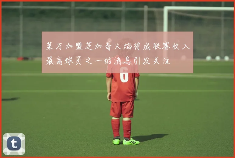 莱万加盟芝加哥火焰将成联赛收入最高球员之一的消息引发关注