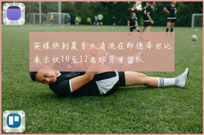 英媒热刺夏季大清洗在即德泽尔比表示仅10至12名球员可留队